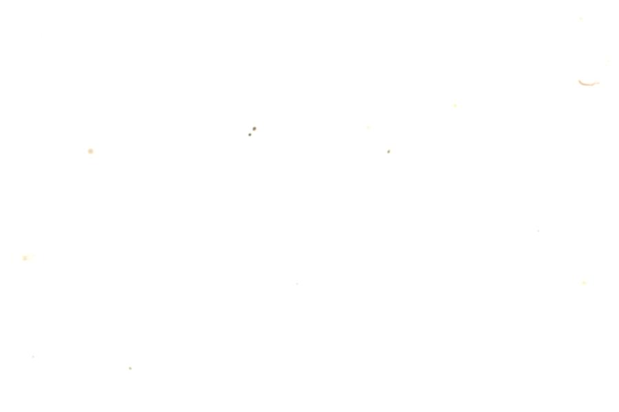 Image 150